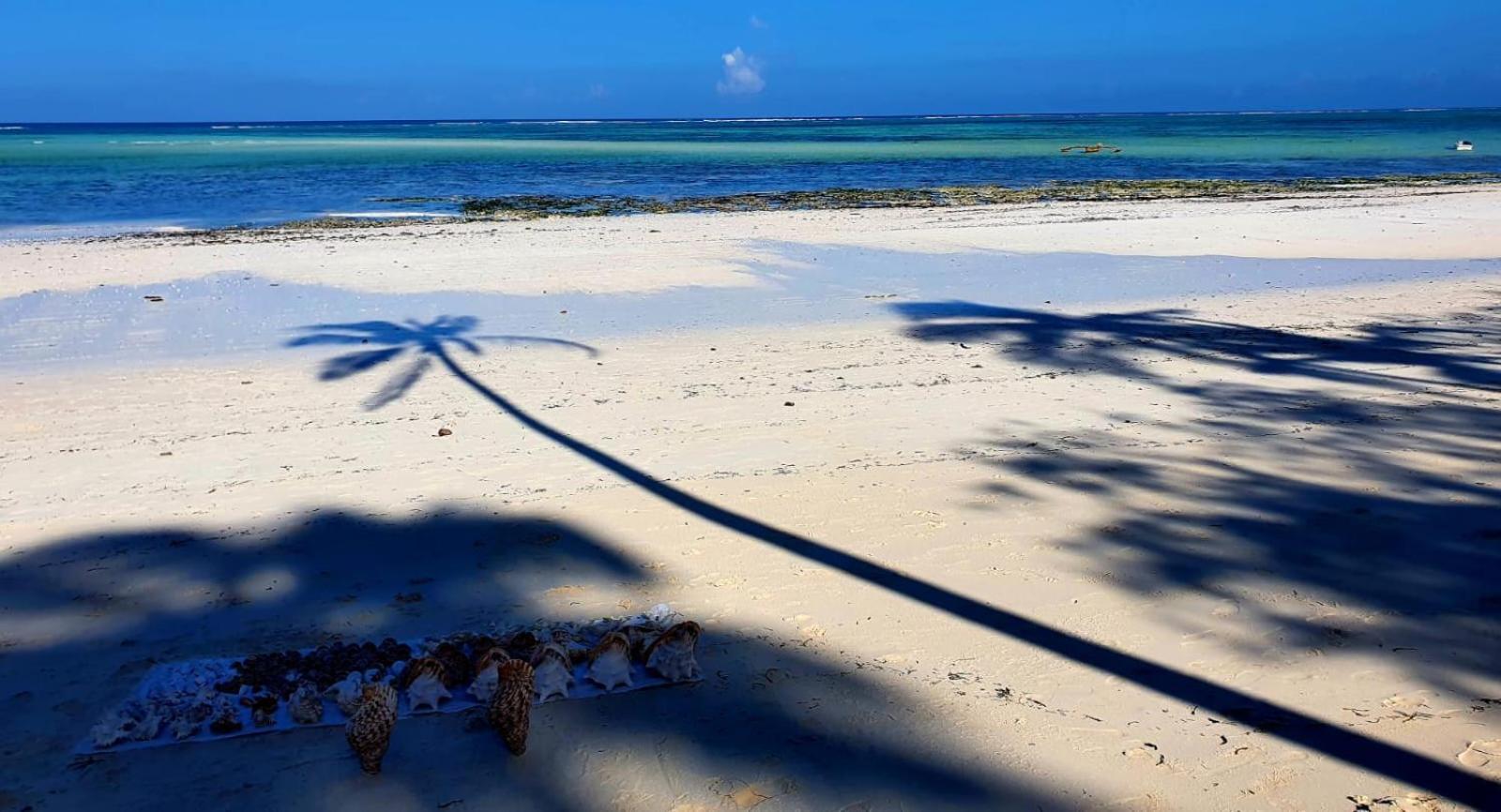 Lazy Beach House Kiwengwa  Luaran gambar